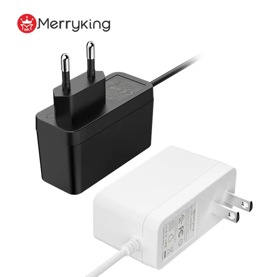 UL RoHS SAA C-Tick PSE Bis CB VI OEM 5V 6V 9V 12V 19V 24V 36V 500mA 600mA 0.5A 1A 2A 3A 4A Wall Plug Travel Switching AC DC Power Adapter with Micro USB Type C